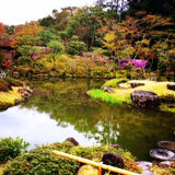Kimono Tour & Activity in Nara Park: Tea at Japanese Garden (Tour Code: IS-003)